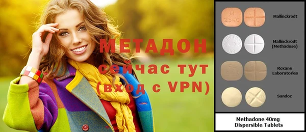 индика Алексин