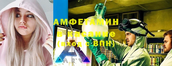 индика Алексин
