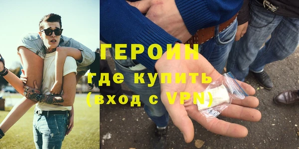 индика Алексин