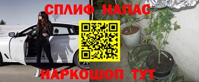 молекула духа Гудермес