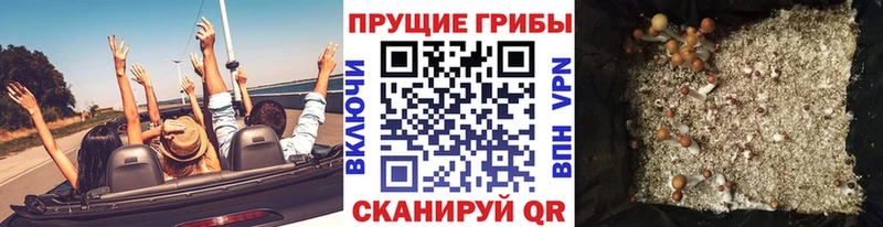как найти закладки  Чусовой  omg tor  Галлюциногенные грибы Cubensis 