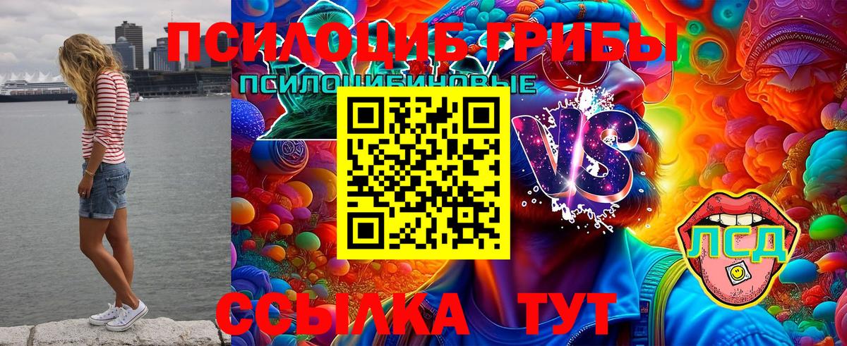 Галлюциногенные грибы GOLDEN TEACHER Чусовой